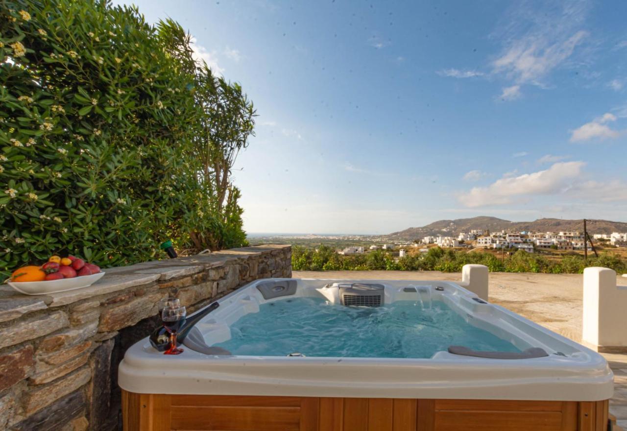 Villa Di Sergio Glinado Naxos Bagian luar foto
