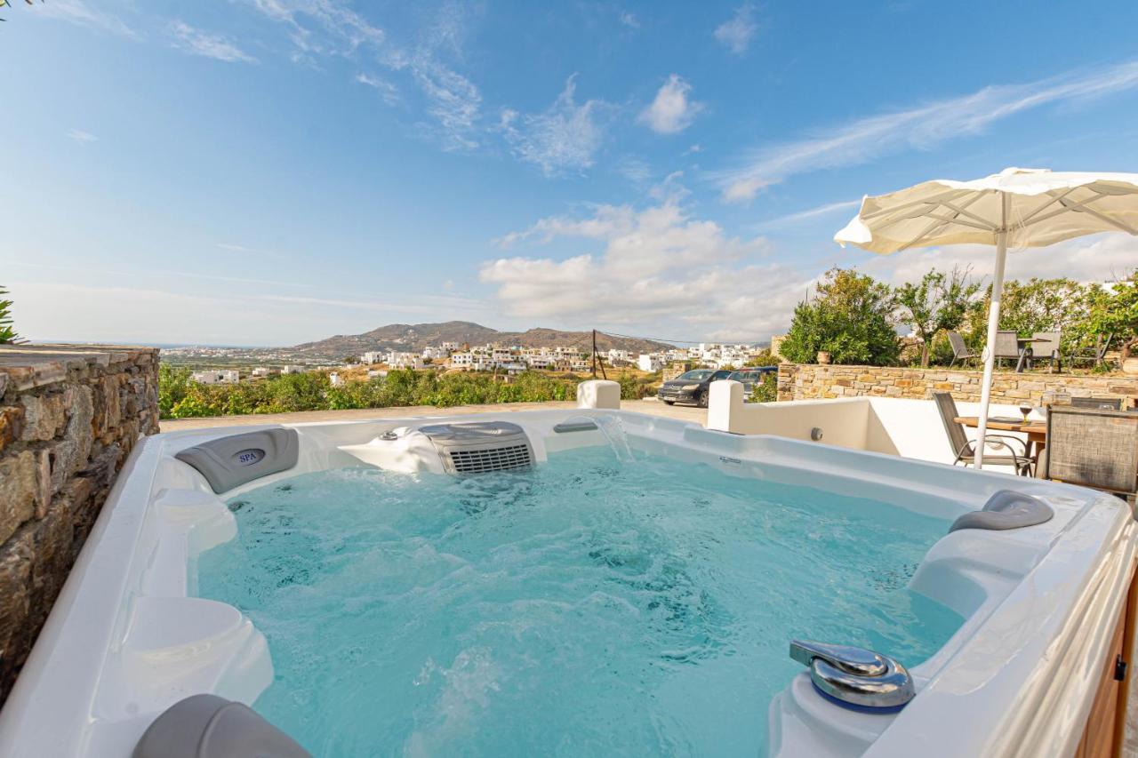 Villa Di Sergio Glinado Naxos Bagian luar foto